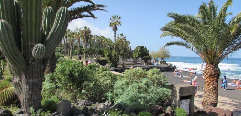 puerto-de-la-cruz,-tenerife,-en-caravana